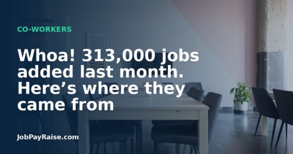 Whoa! 313,000 jobs added last month. Here’s where they came from
