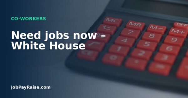 Need jobs now – White House