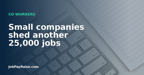 Small companies shed another 25,000 jobs