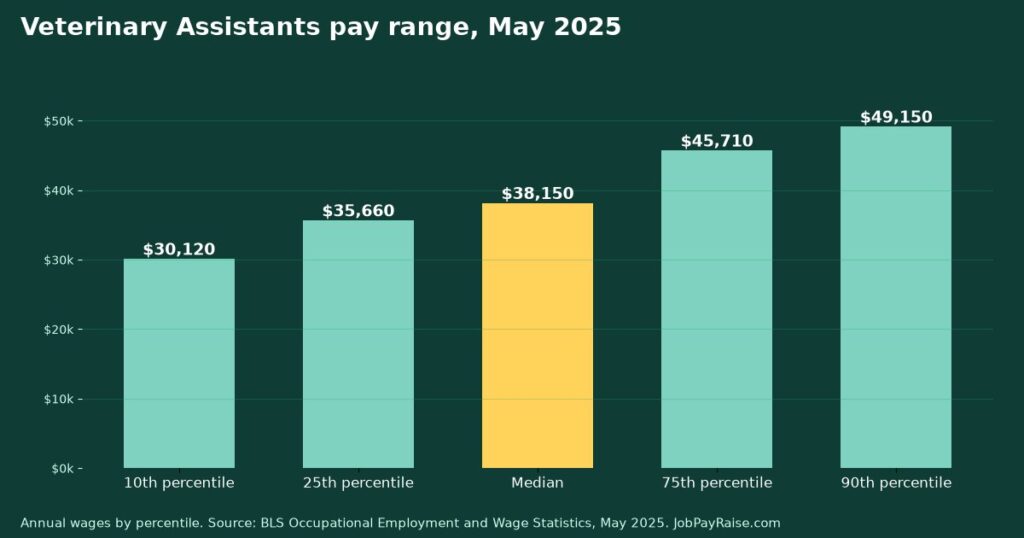 How Much Do Veterinary Assistants Make? 2025 Pay by Percentile, State, City and Industry